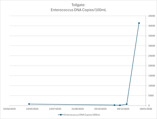 Image 2: Enterococcus Spike at Tollgate